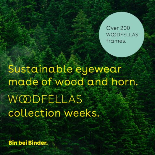 Woodfellas FG Seite Englisch min 7 Binder Optik